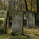Na cmentarzu przy ul. Brackiej.