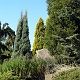 Ogród Botaniczny w Łodzi