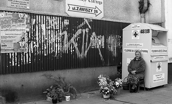 Foto: Ba�uty ...  (wrzesie� '2005)