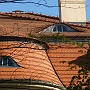 Pałac Alfreda Biedermanna - budynek o cechach modernistycznych, nakryty dachem mansardowym.