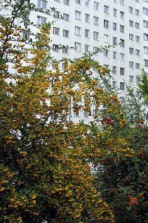 Foto 02