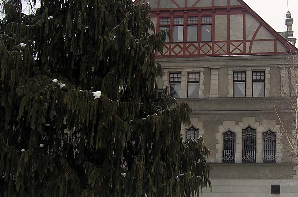 Foto: Willa Reinholda Richtera przy ul. Ks. Skorupki 6 od strony parku.