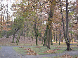 park w Konskich
