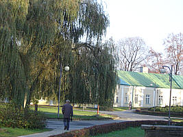 park w Konskich