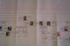 Photo Number 4