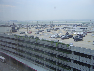 DSC00306
