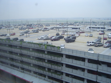 DSC00305
