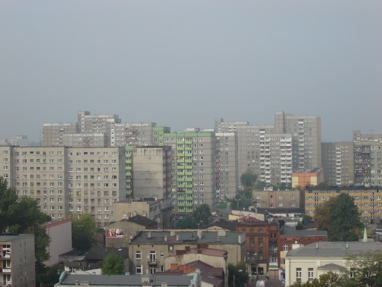 DSC02599