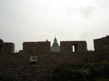 DSC02614