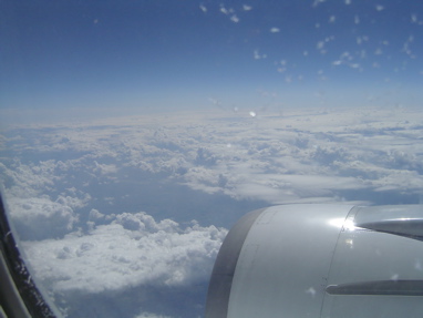DSC00307