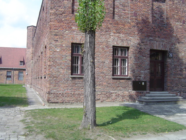DSC00415