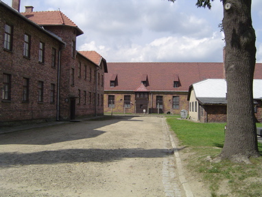 DSC00420