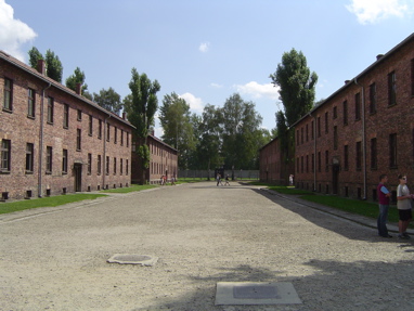 DSC00425