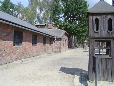 DSC00426