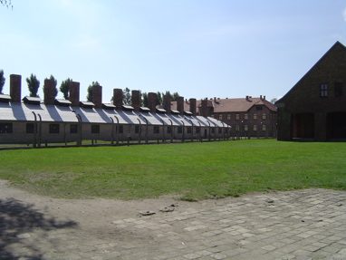 DSC00344