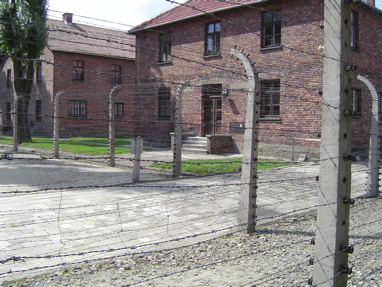 DSC00440