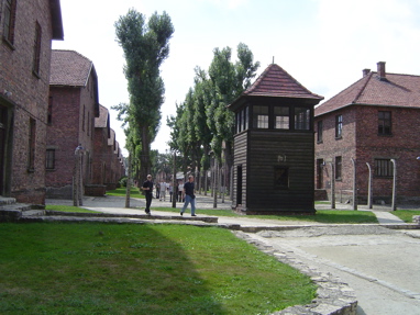 DSC00441