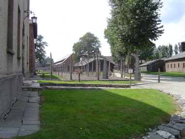 DSC00446