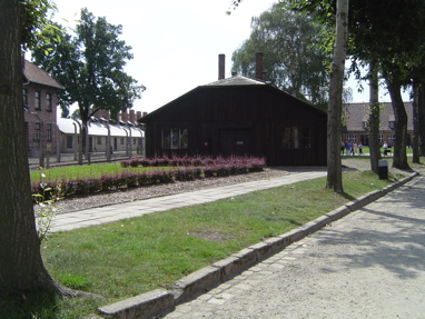 DSC00449