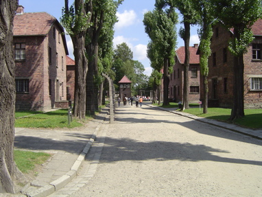 DSC00358