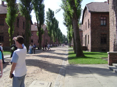 DSC00362