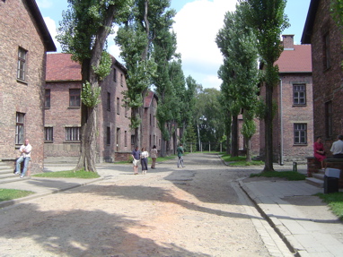 DSC00374