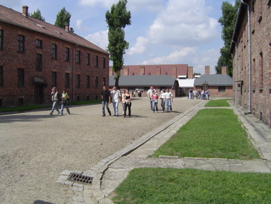 DSC00378
