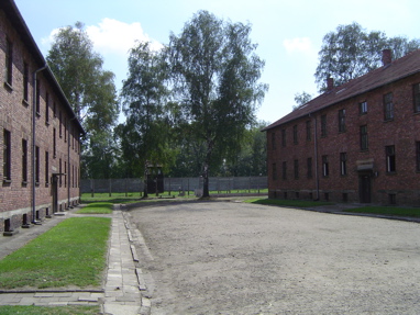 DSC00379
