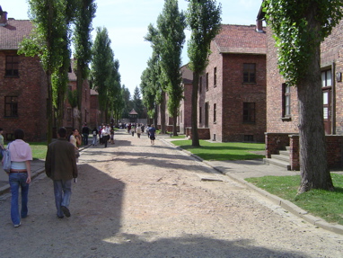DSC00380