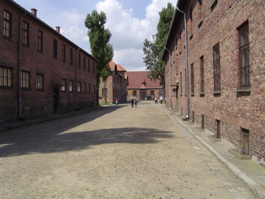 DSC00383