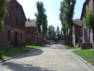 DSC00387