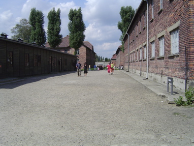 DSC00389