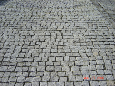 DSC02798