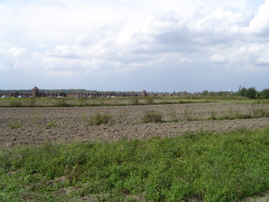 DSC00492