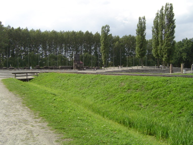 DSC00542