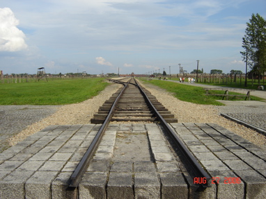 DSC02849