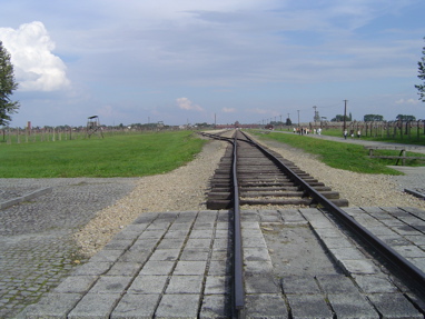 DSC00543