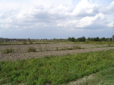 DSC00493