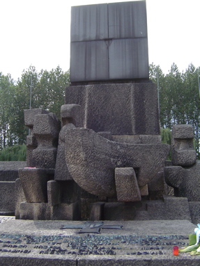 DSC00550