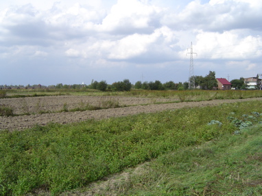DSC00494
