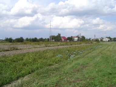 DSC00495