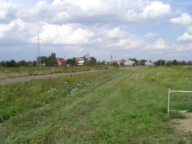 DSC00496