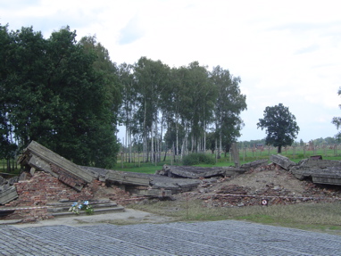DSC06026