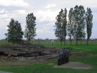 DSC06027