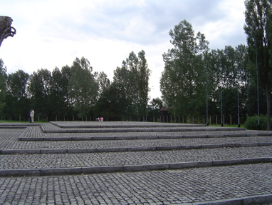 DSC00573