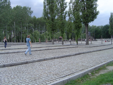 DSC00578