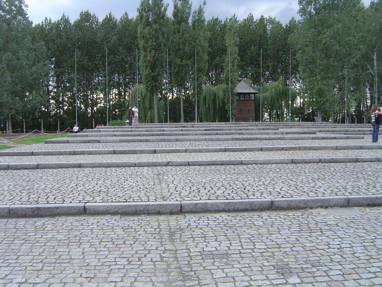 DSC00579