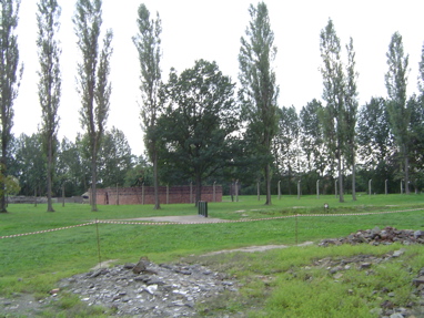 DSC00598