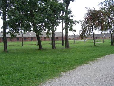 DSC00600