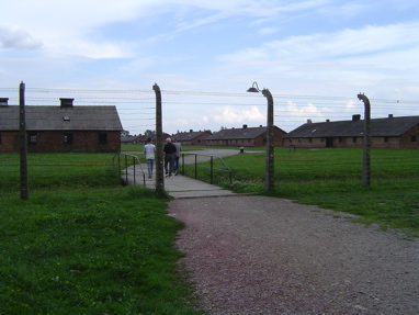 DSC00602